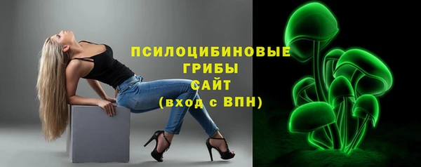 крисы Богородск