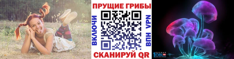 дарнет шоп  Волосово  Галлюциногенные грибы Cubensis 